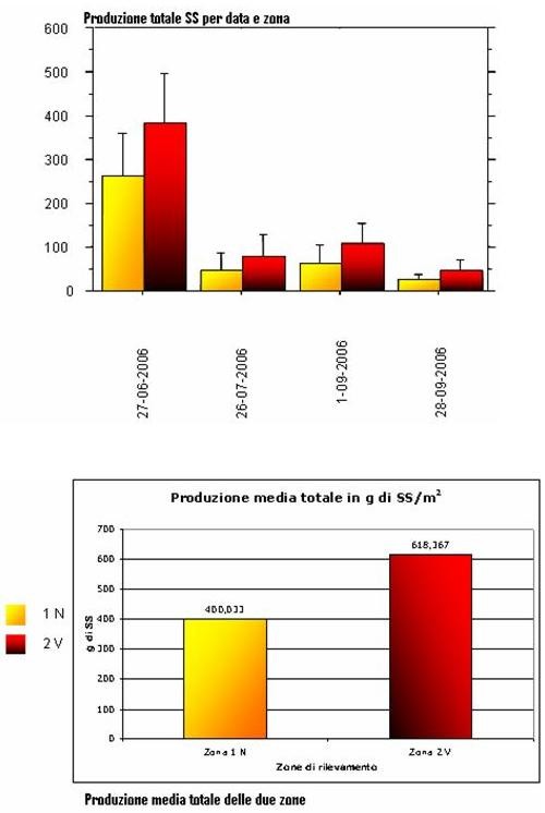 Produzione totale di sostanza secca