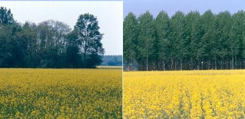 Parco Agricolo Sud Milano