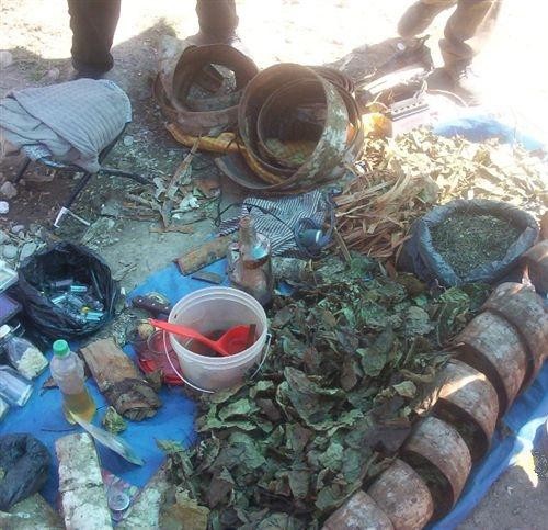 Postazione di venditore di erbe medicinali della foresta