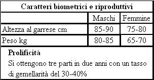 Caratteri biometrici