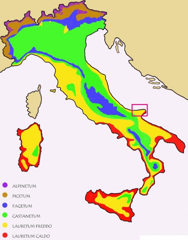 Zone fitoclimatiche d'Italia