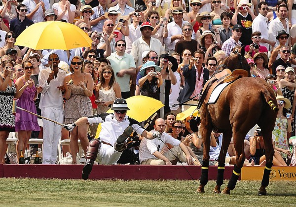 Le reazioni nel cavallo