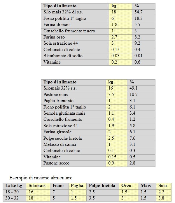 Esempio di razione alimentare