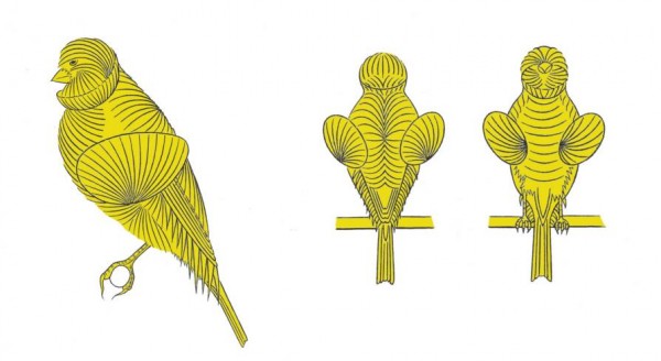 Disegno standard Rogetto