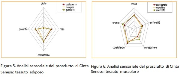 Analisi sensoriale prosciutto di Cinta Senese