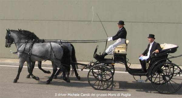 Elegante attacco a pariglia con il driver Michele Caroli