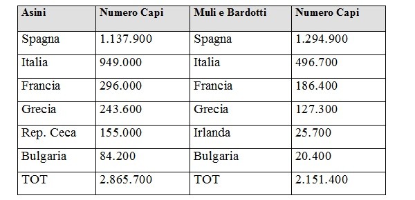 Censimento popolazione asinina