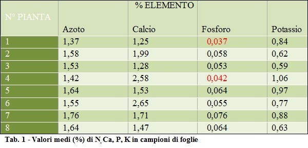 Valori in campioni di foglie