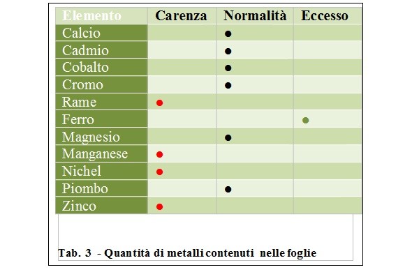 Quantità di metalli nelle foglie