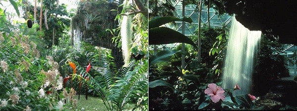 Climatron, area hawaiana e giavanese