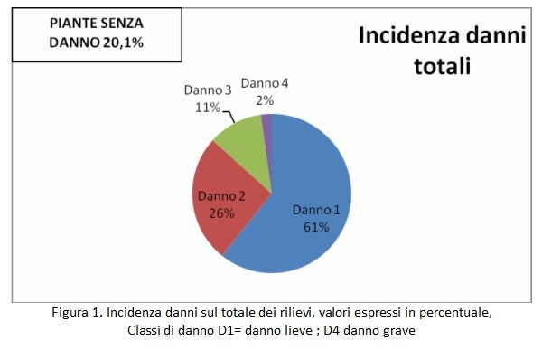 Incidenza dei danni