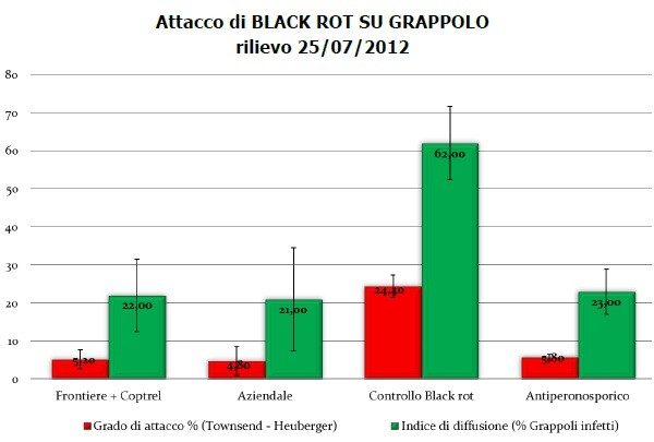 Grafico di attacco di Black Rot su grappolo