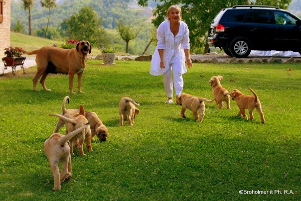 Vanda e la sua famiglia di Broholmer