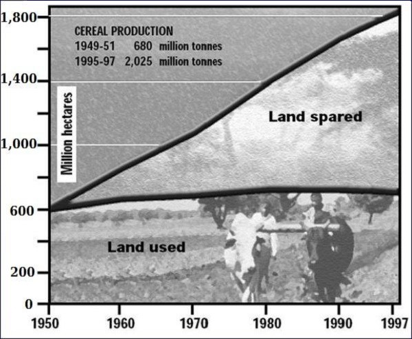 Produzione di cereali nel tempo