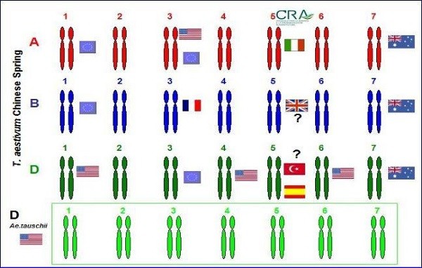 Patrimonio genetico a confronto