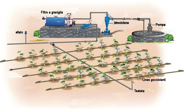 Schema impianto microirrigazione