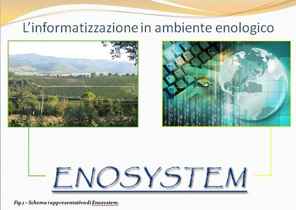 Informatizzazione in ambito enologico