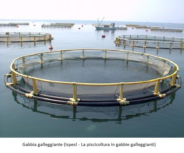 Gabbia galleggiante