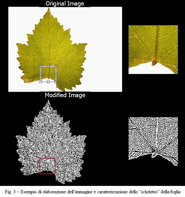 Esempio di elaborazione dell'immagine