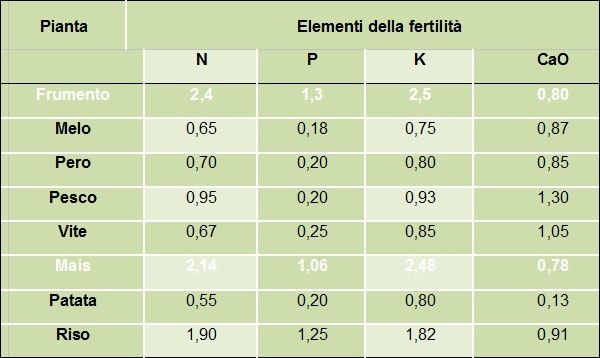 Esigenze di mais e grano di azoto, fosforo e potassio