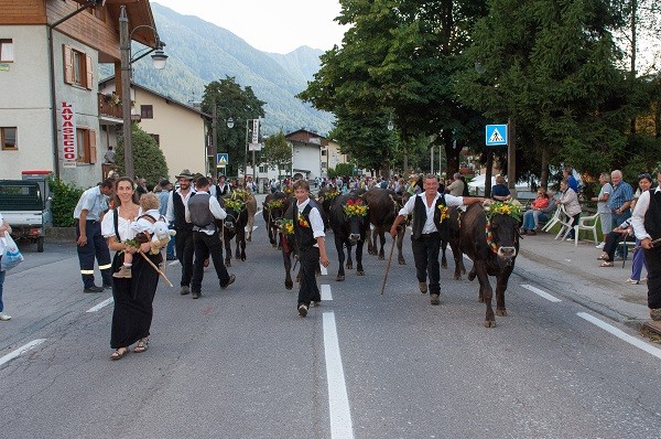 Sfilate delle giovenche a Pinzolo