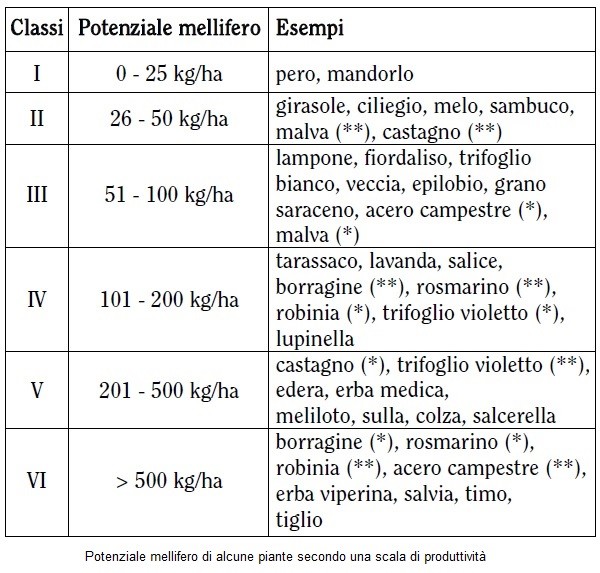 Potenziale mellifero di alcune piante