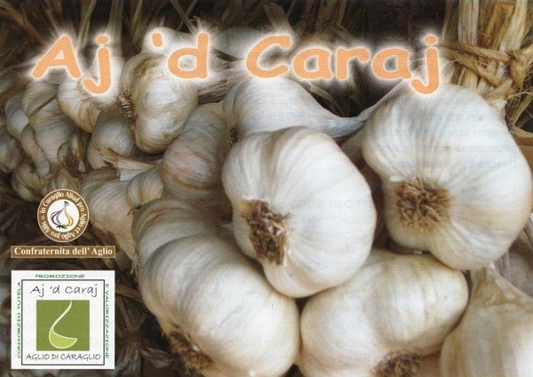 Aglio di Caraglio