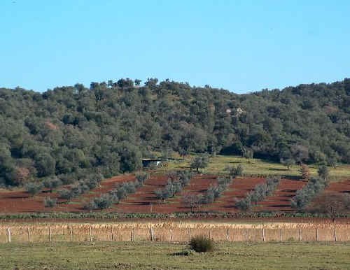 Coscienza della progettazione nello sviluppo sostenibile