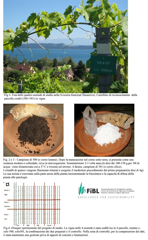 Lo studio del vigneto e preparati biodinamici