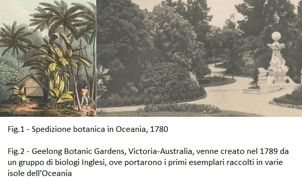 Spedizione botanica in Oceania