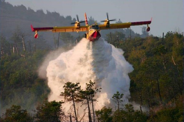 Spegnimento incendio boschivo