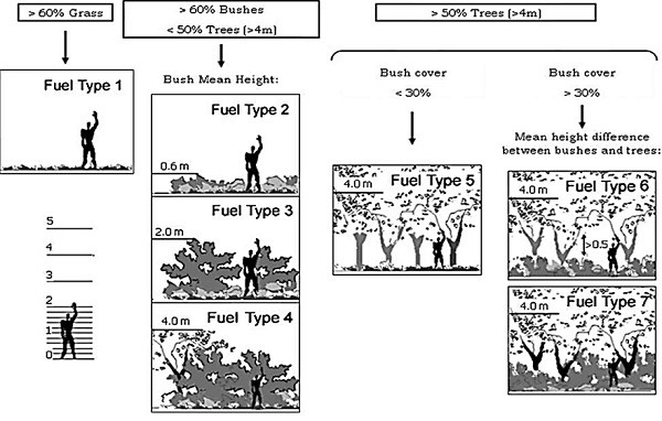 Classificazione dei tipi di combustibile