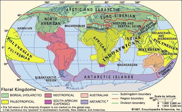 Distribuzione geografica piante