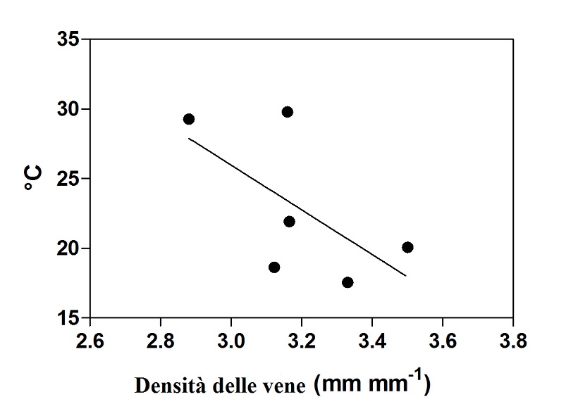 grafico foglie 1