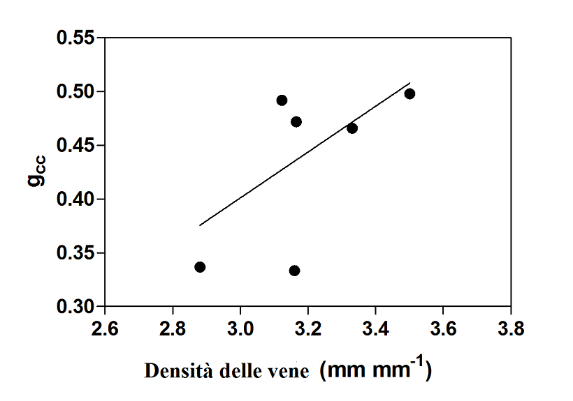 grafico foglie 3