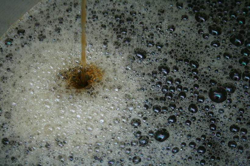 mosto birra fermentazione