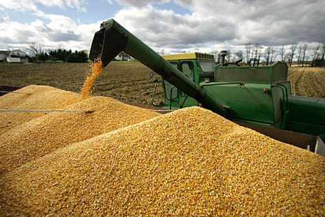 agricoltura spreco cibo alimentare