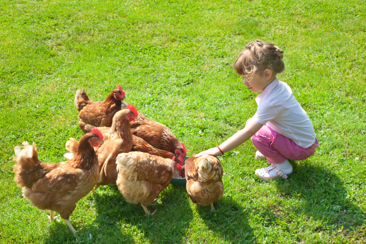 bambini fattorie scuola animali