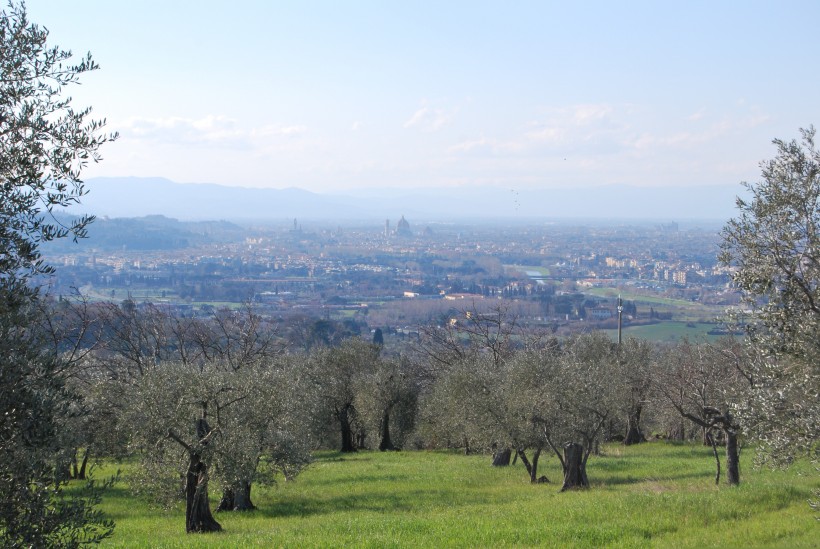 colline Firenze