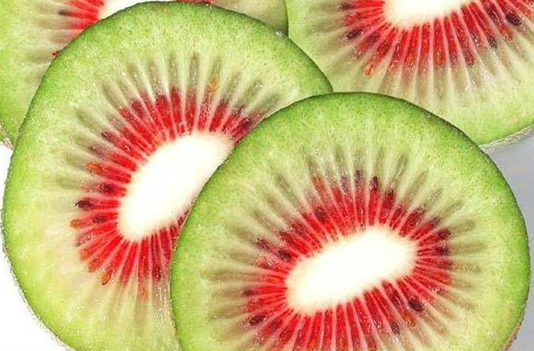 kiwi rosso coltivato in Italia