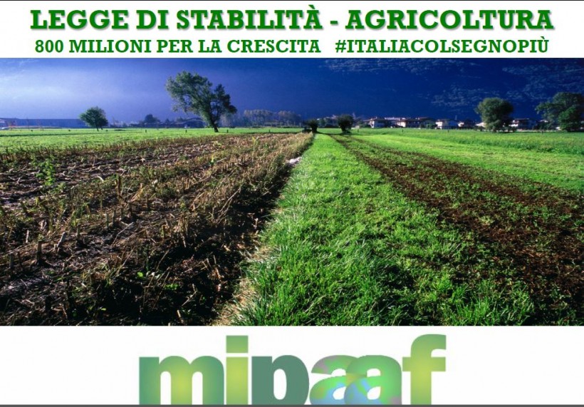 mipaaf agricoltura legge di stabilità