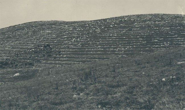 monte morello storia