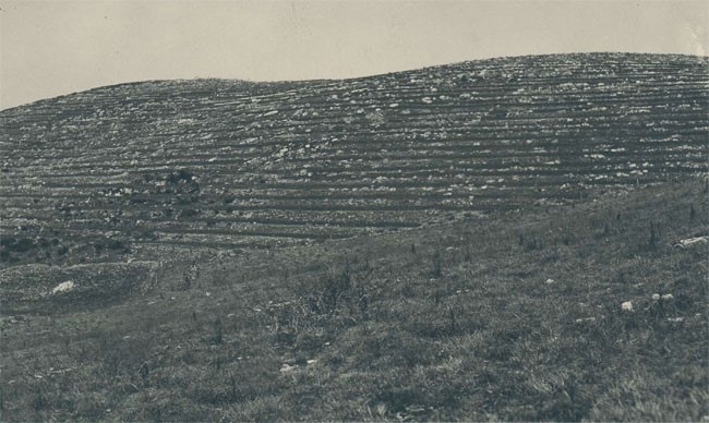 monte morello storia