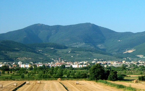 monte morello boschi