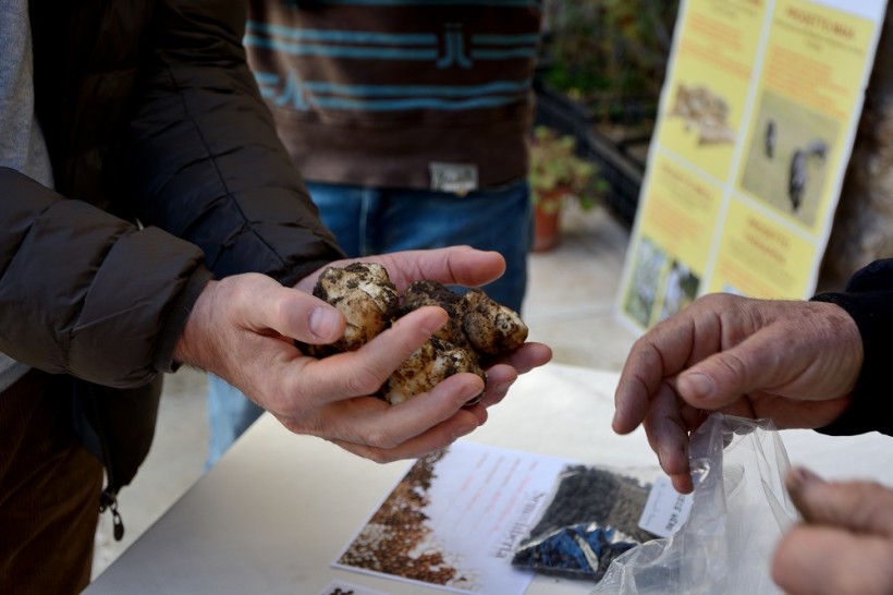 scambio semi agricoltori