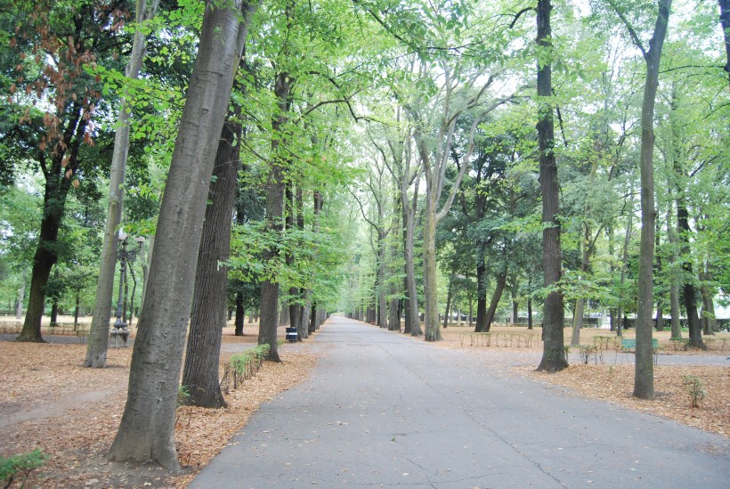 alberi città inquinamento