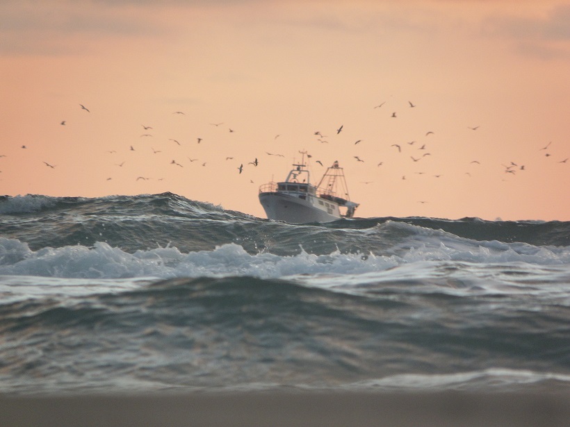 pesca mare Toscana pesce