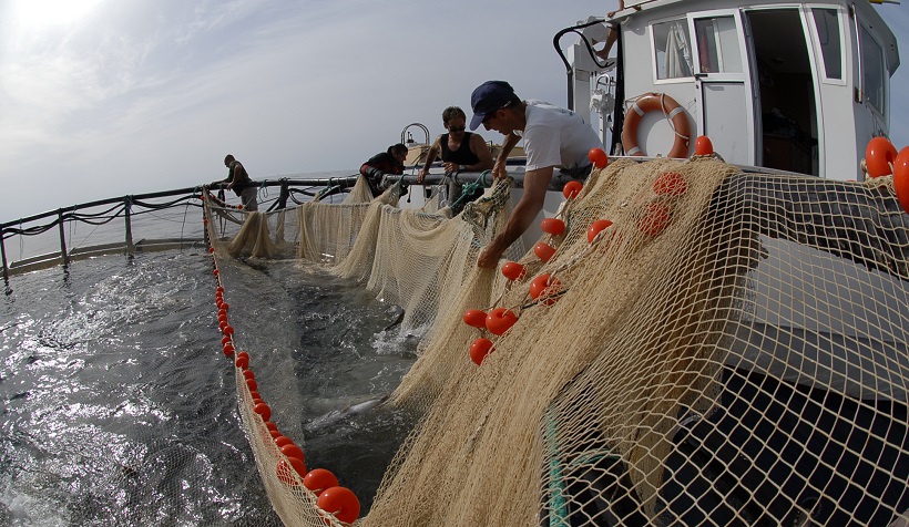 pesca Toscana pesce