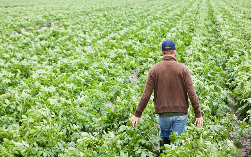 fiscalità agricoltura 