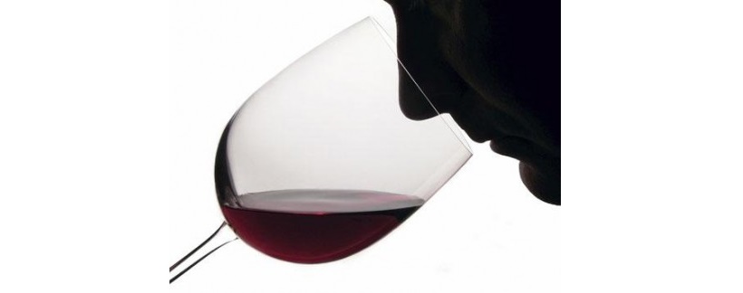 vino degustazione naso bocca